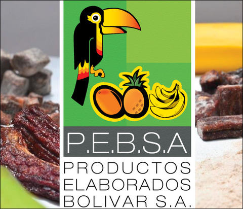 Logo PEBSA - cliente de Psicoprevenconsultores